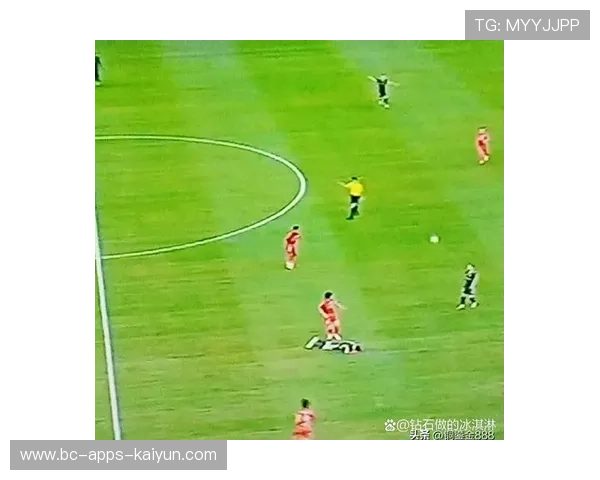 中超第29轮最佳阵容：海港国安泰山各2人，中超第20轮