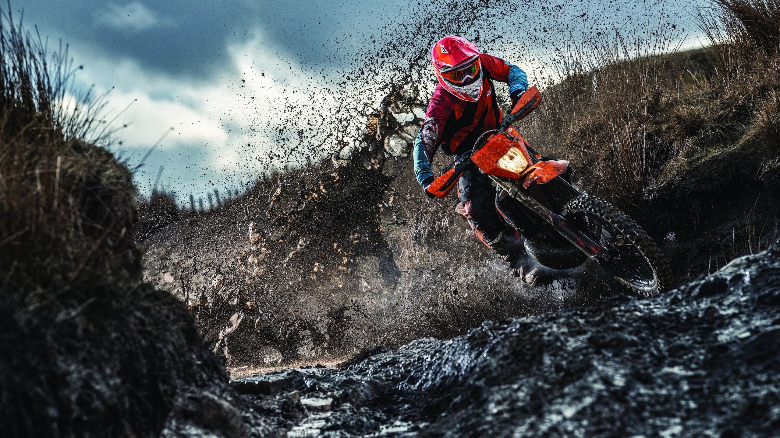 体育赛事商业价值持续提升，体育赛事的商业模式